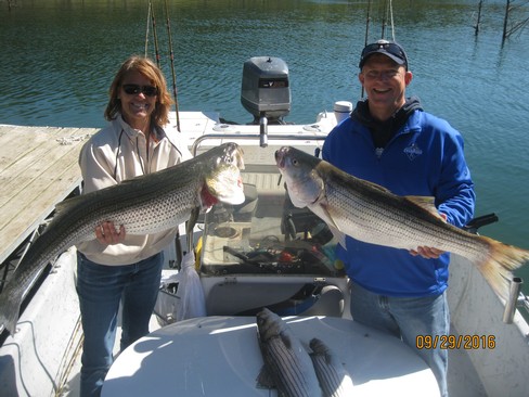 Nice Striped Bass